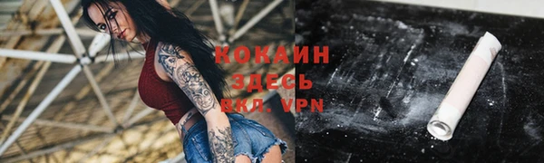 apvp Кодинск